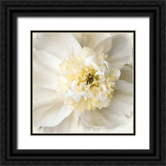 Swanson, Rebecca 12x12 Black Ornate Wood Framed with Double Matting Museum Art Print Titled - Peony Praise