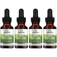 thumbnail image 1 of Swanson Saw Palmetto Liquid Extract - Alcohol & Sugar Free  4 Pack, 1 of 6