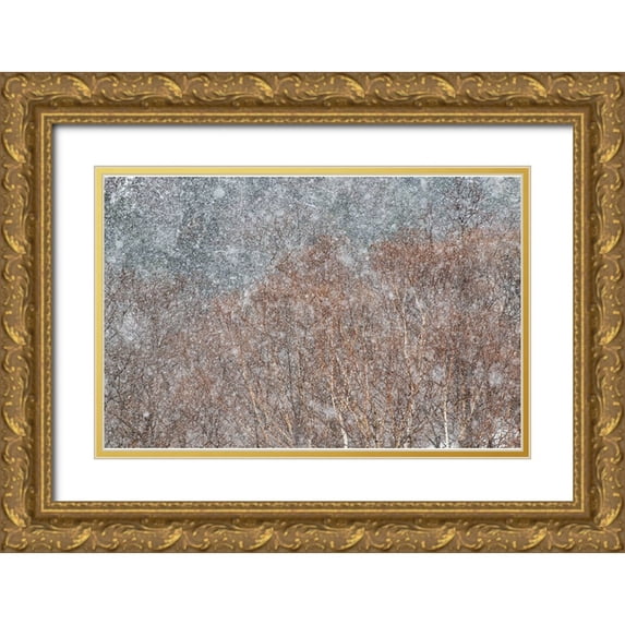 Swapnil 18x13 Gold Ornate Wood Framed with Double Matting Museum Art Print Titled - snowstorm