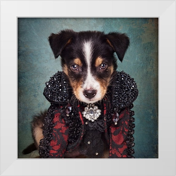 Swarek, Tammy 15x15 White Modern Wood Framed Museum Art Print Titled - Shelter Pets Project - Loki