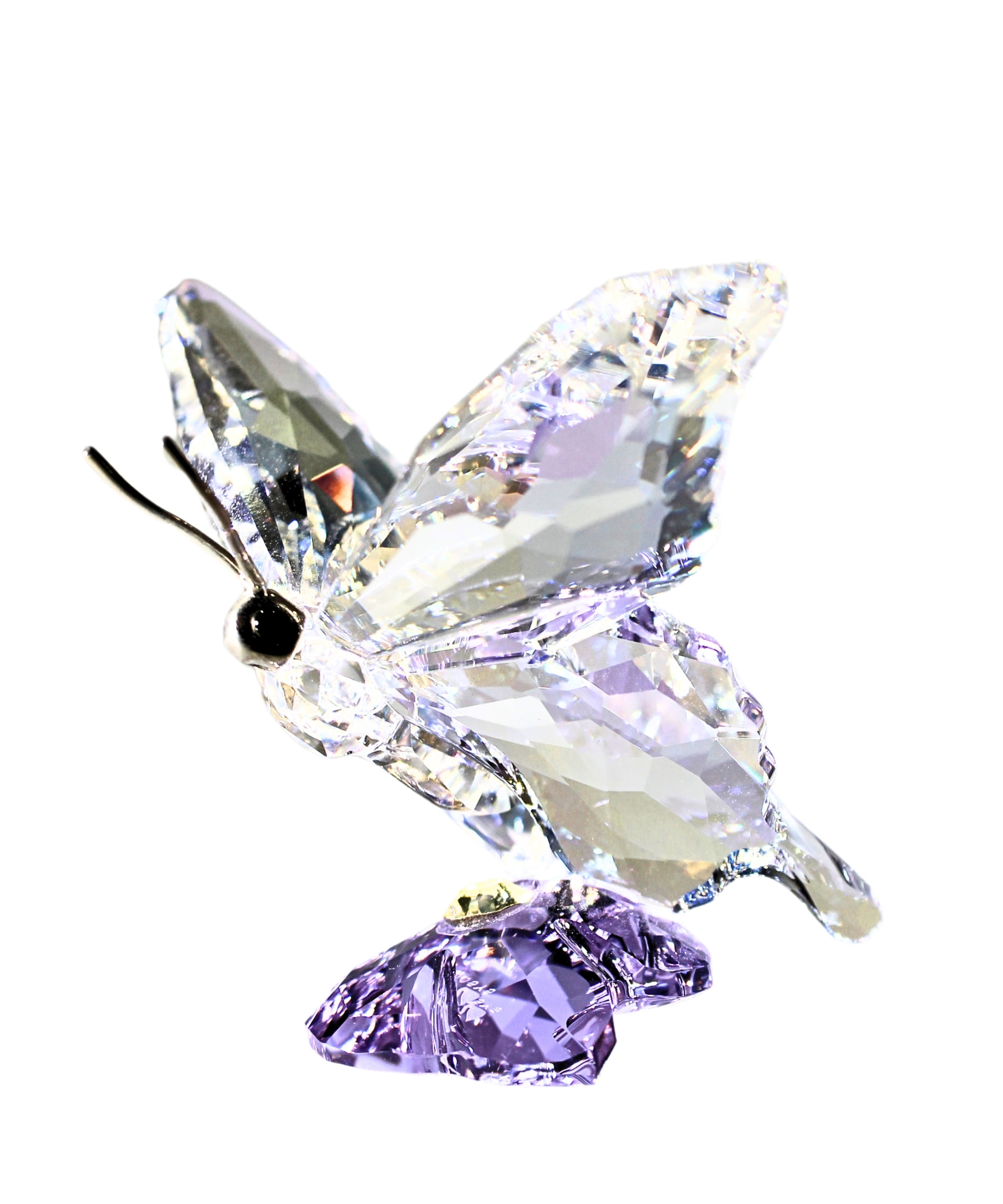 G5943】COSMIC BUTTERFLY/DOOSYCOOKIE G5943】COSMIC BUTTERFLY
