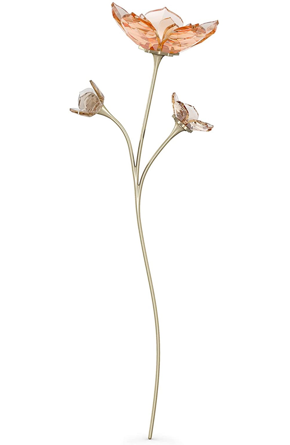 Swarovski Garden Tales Magnolia (Gold Tone, Beige Crystal) 5557799