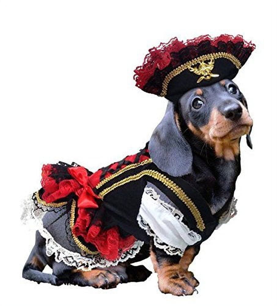 Swashbuckler Pirate Dog Costume Detailed Black Velveteen Petticoat Dress and Hat(Size 1)