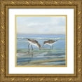 thumbnail image 1 of Swatland, Sally 12x12 Gold Ornate Wood Framed with Double Matting Museum Art Print Titled - Seabird Beach II, 1 of 4
