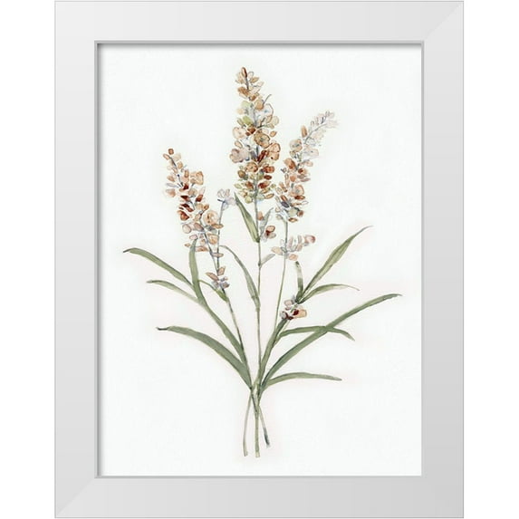 Swatland, Sally 12x14 White Modern Wood Framed Museum Art Print Titled - Dainty Botanical I