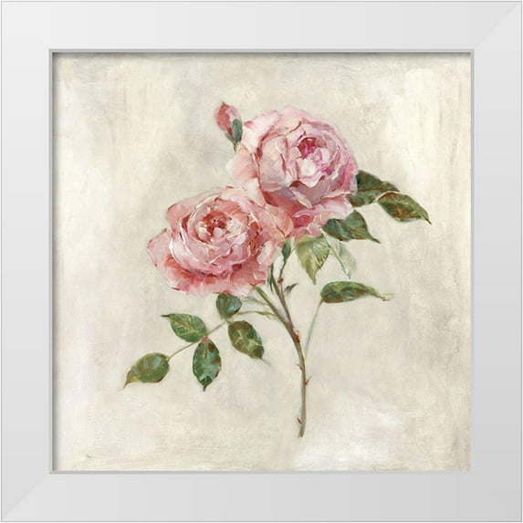 Swatland, Sally 15x15 White Modern Wood Framed Museum Art Print Titled - Botanical Beauties I