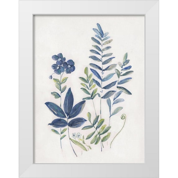 Swatland, Sally 15x18 White Modern Wood Framed Museum Art Print Titled - Fern Study I