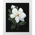 thumbnail image 1 of Swatland, Sally 15x18 White Modern Wood Framed Museum Art Print Titled - Midnight Magnolia, 1 of 4