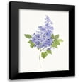 thumbnail image 1 of Swatland, Sally 19x24 Black Modern Framed Museum Art Print Titled - Dainty Botanical Lilac, 1 of 5
