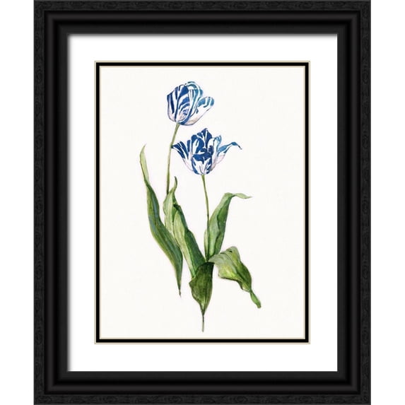 Swatland, Sally 19x24 Black Ornate Wood Framed with Double Matting Museum Art Print Titled - Blue Lively Botanical II