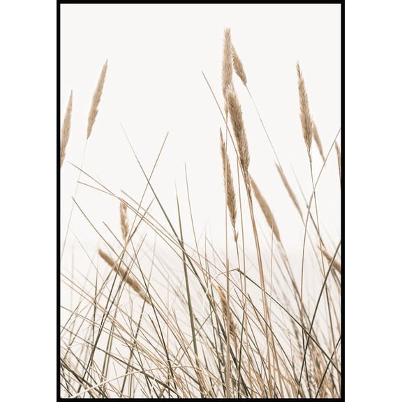 Swaying Reeds Poster Wall Art, Modern Wall Decor For Living Room Bedroom, 8x12 UNFRAMED
