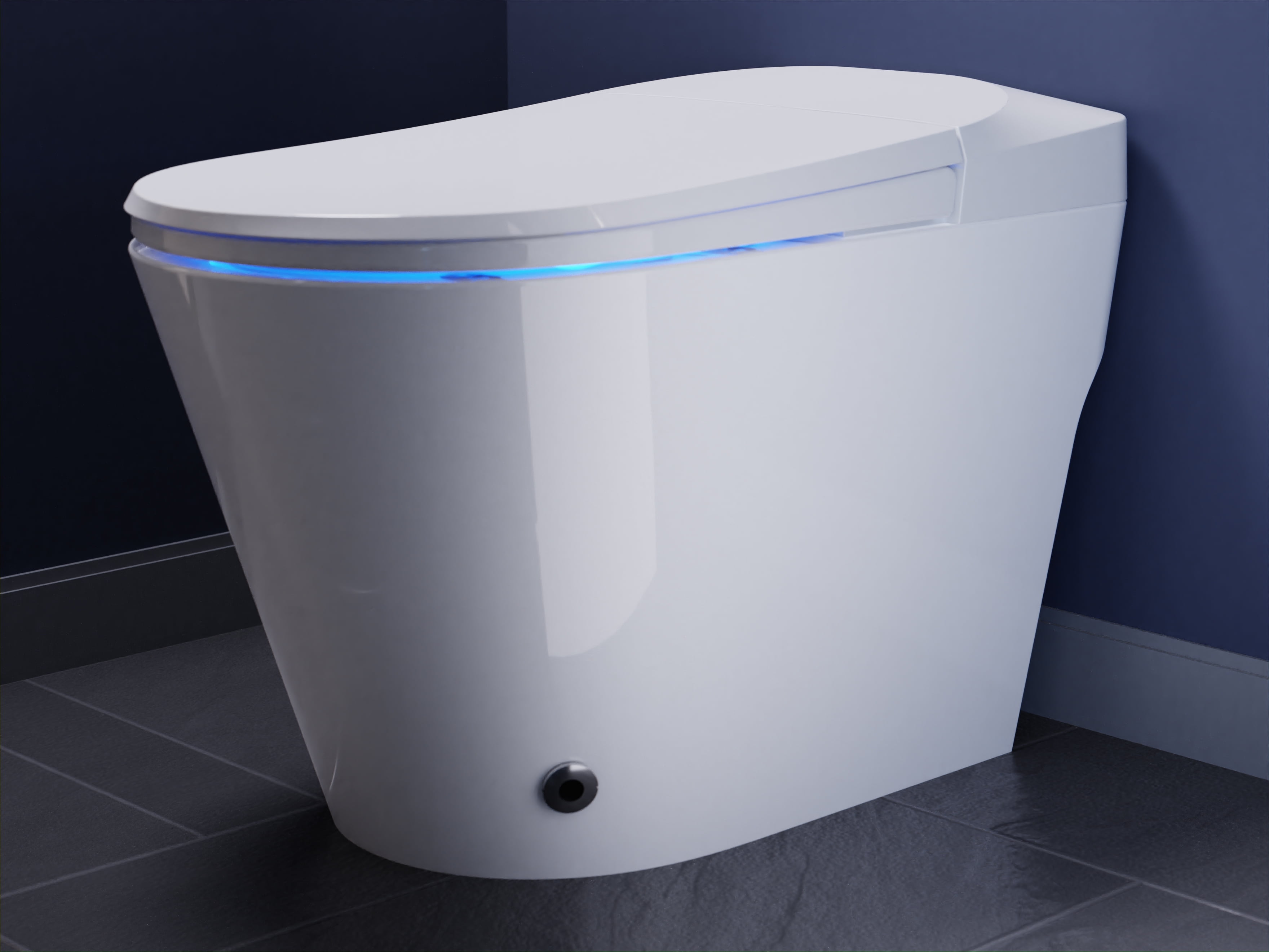 ZMJH ZMA102 Bidet Toilet Seat, Elongated Smart Unlimited Warm