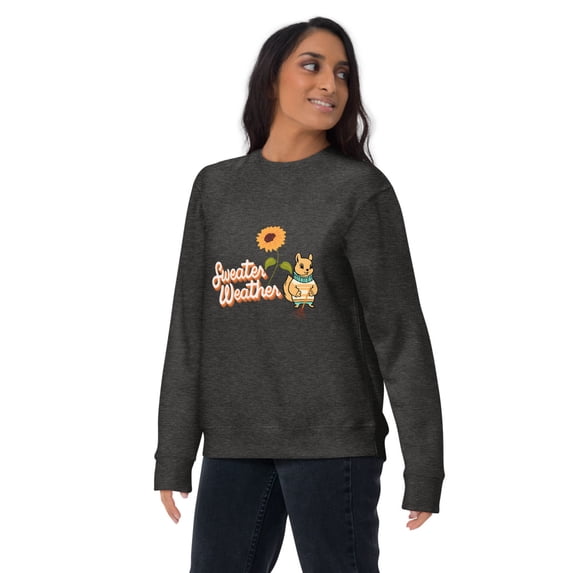 'Sweater Weather' Unisex Premium Sweatshirt (Charcoal Heather, M)