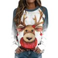 Sweaters for Women Hoodies Fashion Print Round Neck Long Sleeved Casual