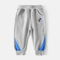 thumbnail image 1 of Sweatpants Kids Boys Grey Sweatpants Basic Boys' Athletic Pants Dinosaur Embroidery Sweatpants with Pocket 5-6 Years Boys Pants, 1 of 8