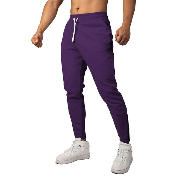 Sweatpants for Men,Long Pants Trouser Leg Zipper Drawstring Retro Slim Casual Outdoor Trousers for Sporty,Mens Straight Leg Sweatpants,03 Purple,2XL