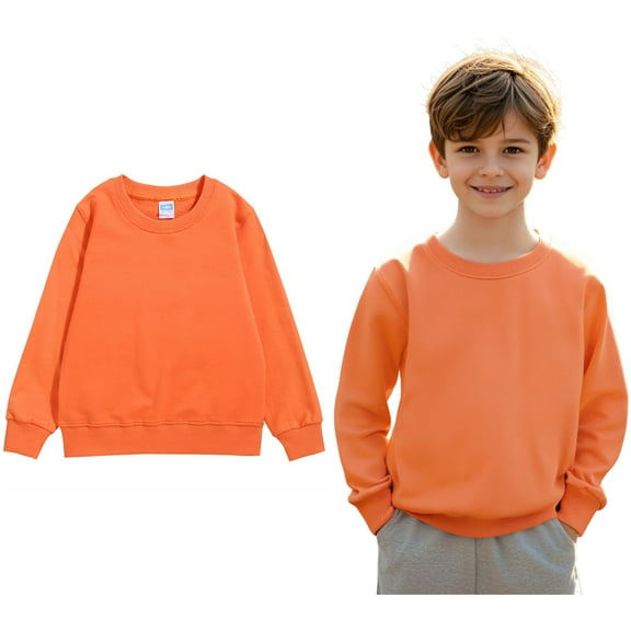 Sweatshirt Boy Long Sleeve RD3 Sweatshirts Crewneck Sweatshirts Pullover Tops Fall Winter Clothes Sweatshirt for Girls 3-4 Years Boys Girls Fashion