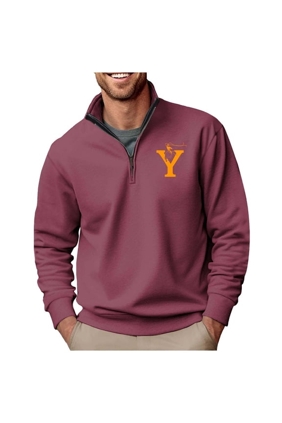Sweatshirts for Men Hoodie Sweatshirts Half-Zip Printed Pullover Polo Sport Long Sleeve Stand-up Collar Blouse Mens Coats Purple L