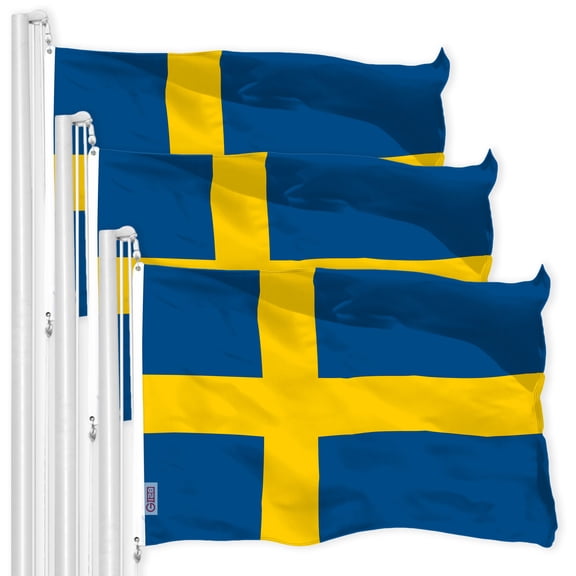 Sweden Swedish Flag 3x5FT 3-Pack 150D Printed Polyester By G128
