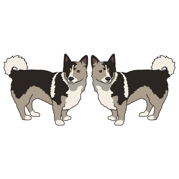 Swedish Vallhund Decal | Indoor/Outdoor | Dog Lover Super Cute Sticker for SUV Windows, Dorm Rooms, Bedroom, Offices | SignMission personalized gift | 2 Pack of 6"