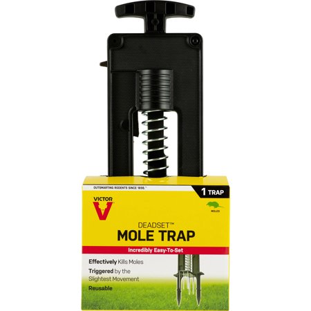 Sweeney's Deadset Mole Trap