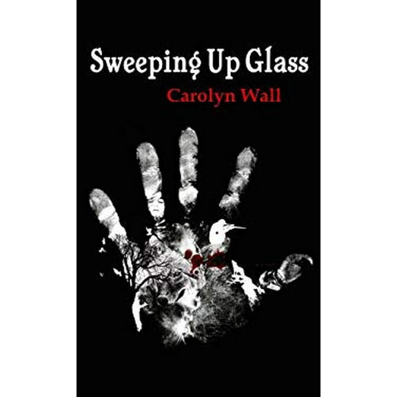 Pre-Owned Sweeping Up Glass (Hardcover) 1602854734 9781602854734