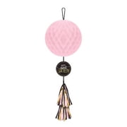 Sweet 16 Blush Deluxe Honeycomb Decoration w/ Tassel 1ct