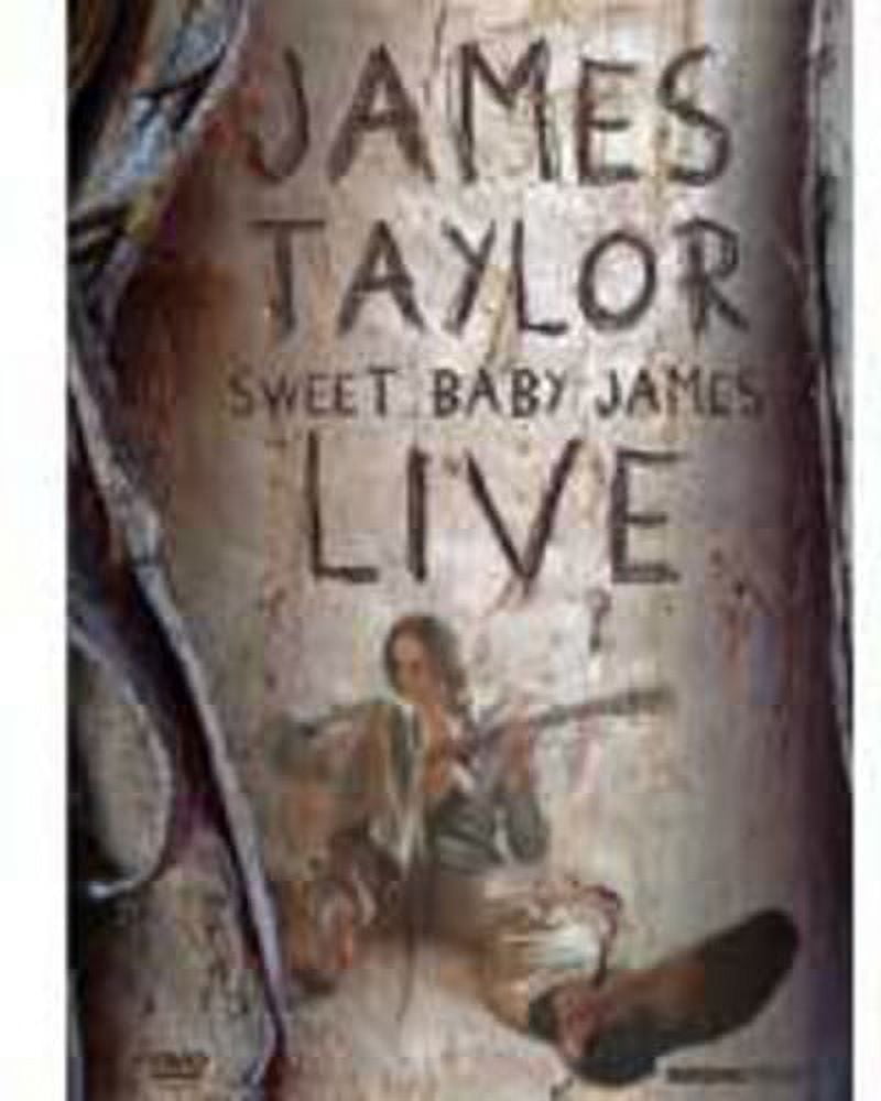 Sweet Baby James Live (DVD), Hudson Street, Music & Performance