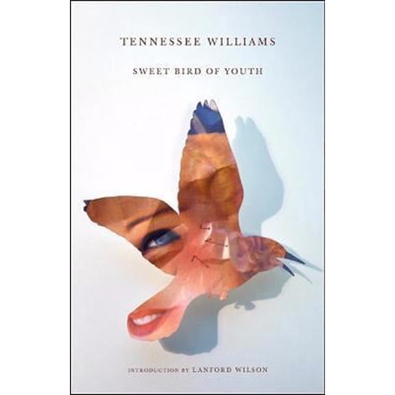 Pre-Owned Sweet Bird of Youth (Paperback) 0811218074 9780811218078