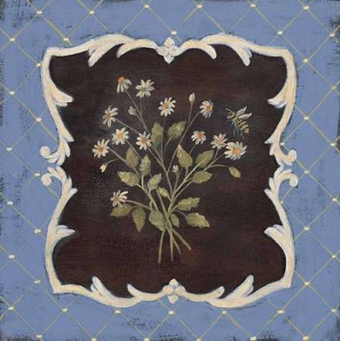 Sweet Chamomile Canvas Art - Jo Moulton (24 x 24)