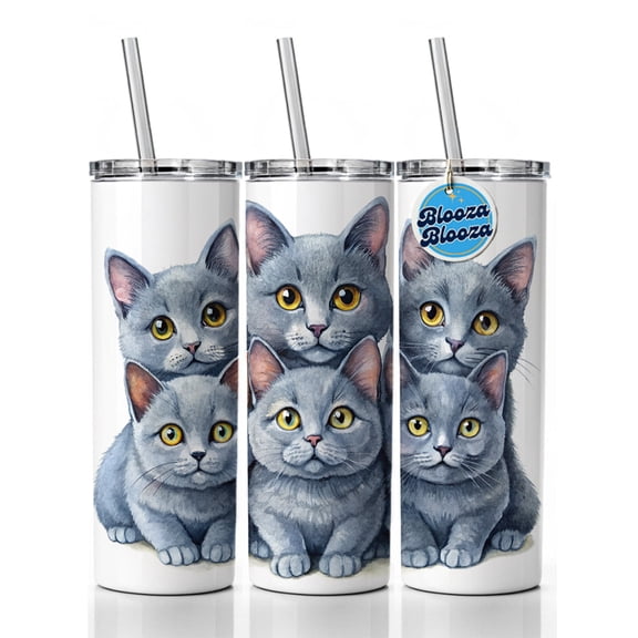 Sweet Chartreux Cats 20oz Insulated Water Bottle Skinny Tumbler Includes Straw