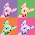 thumbnail image 1 of Sweet Chihuahua Pop Poster Print by Jon Bertelli, 1 of 2