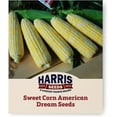 thumbnail image 1 of Harris Seeds - Sweet Corn Seeds American Dream F1 Variety Bicolor - 250 Seeds, 1 of 7