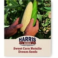 thumbnail image 1 of Harris Seeds - Sweet Corn Seeds Natalie Variety White Kernels Color - 250 Seeds, 1 of 7