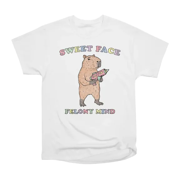 Sweet Face Felony Mind T-Shirt Tee Gift For Him Merch For Her Apparel For Friend