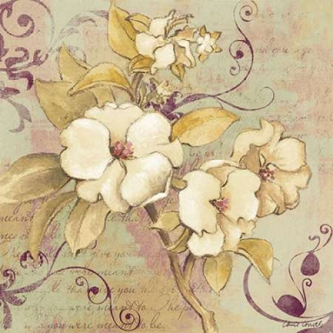 Sweet Fragrance I Canvas Art - Lanie Loreth (24 x 24)