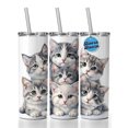 thumbnail image 1 of Sweet Gray And White Cats 20oz Insulated Water Bottle Skinny Tumbler Includes Straw, 1 of 7