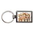 thumbnail image 1 of Sweet Havana Brown Cats Metal Rectangle Keychain, 1 of 7