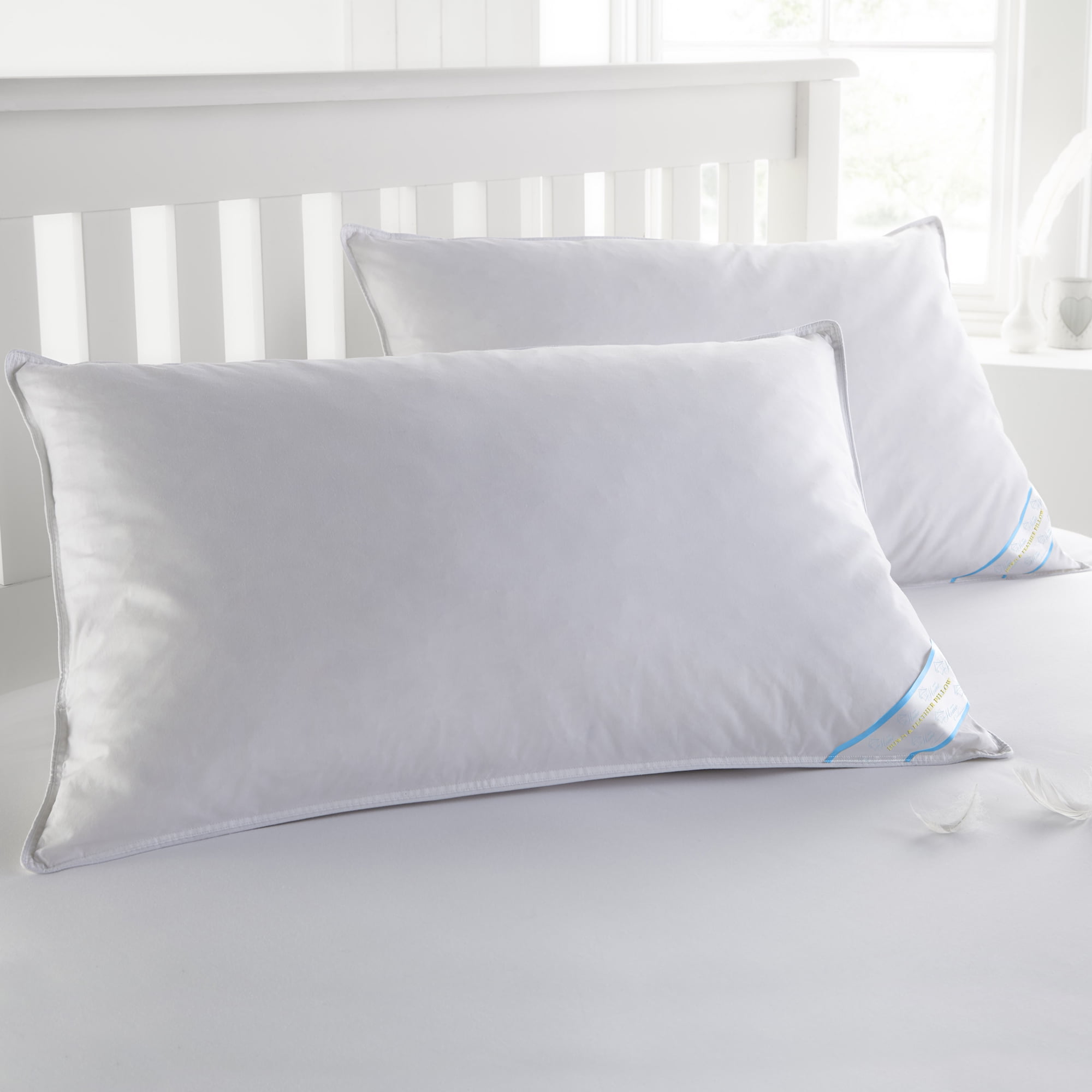 Standard White Cotton Goose Down Feather Bed Pillow Set