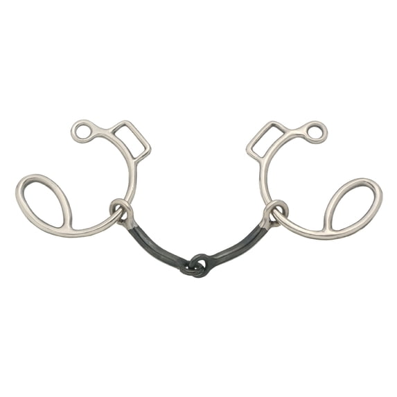 Sweet Iron Snaffle Six Cheek Gag