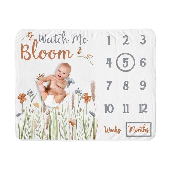 Sweet Jojo Designs Watercolor Floral Garden Multicolor Fleece Milestone Baby Blanket 3 Piece Set
