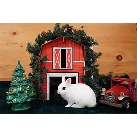 Sweet Meadow Farm 688007 Buddy Barn Small Pet Hideout
