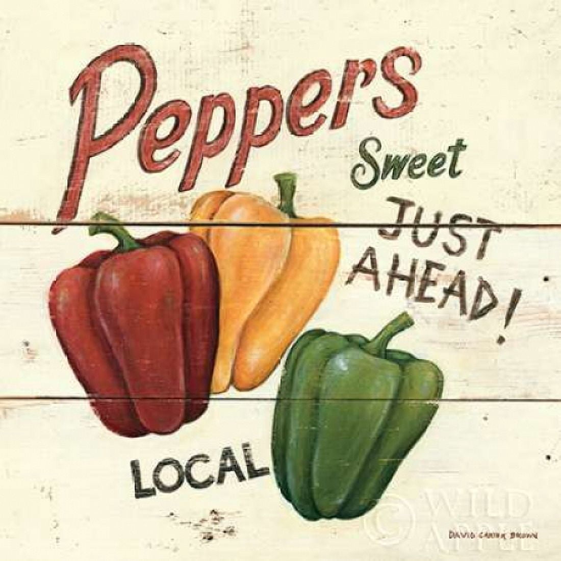 Sweet Peppers Canvas Art - David Carter Brown (24 x 24)