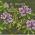 thumbnail image 1 of Sweet Scent of Butterflying (CD), 1 of 1