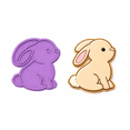 thumbnail image 1 of Sweet Sitting Bunny Cookie Cutter & Stamp, 1 of 9