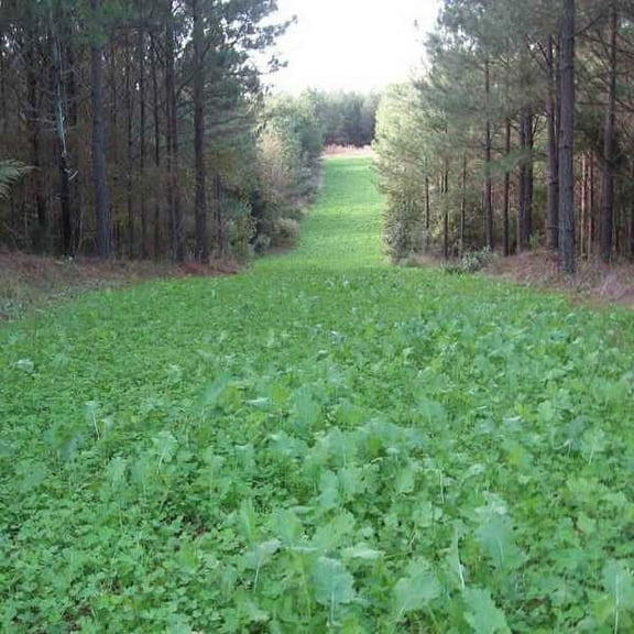 Sweet Spot Deer Food Plot Mix Southern States - 20 LBS