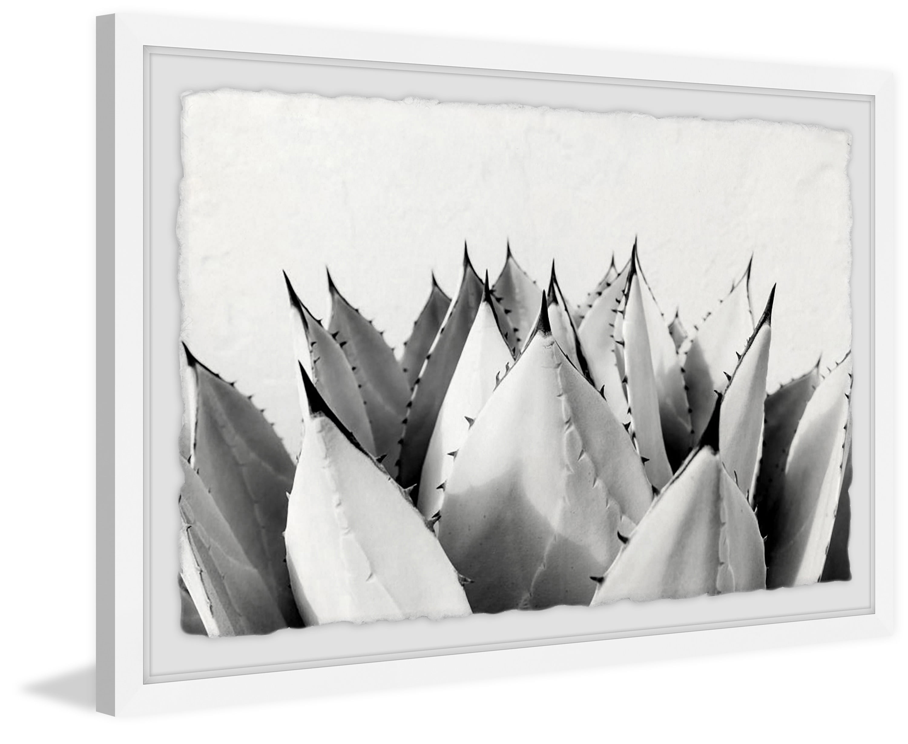 Sweet Succulents II Framed Painting Print