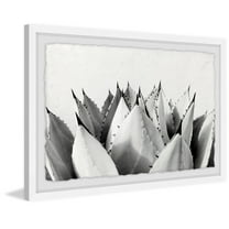 Sweet Succulents II Framed Painting Print