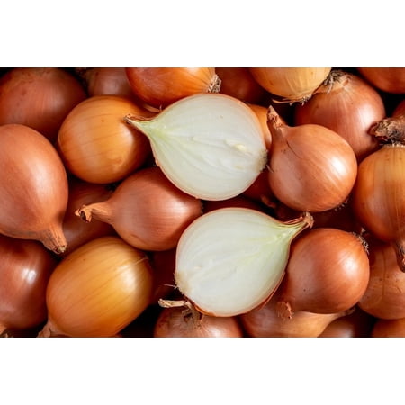Sweet Yellow Onion Sets for Planting - Easy to Grow Vegetables (100 Onion Sets)