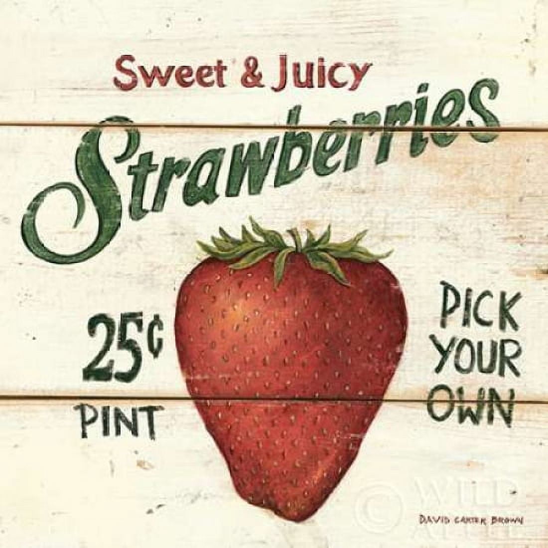 Sweet and Juicy Strawberries Canvas Art - David Carter Brown (24 x 24)